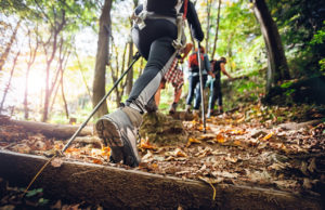 Group of people hiking challenging trails wearing hiking shoes and using appropriate equipment.